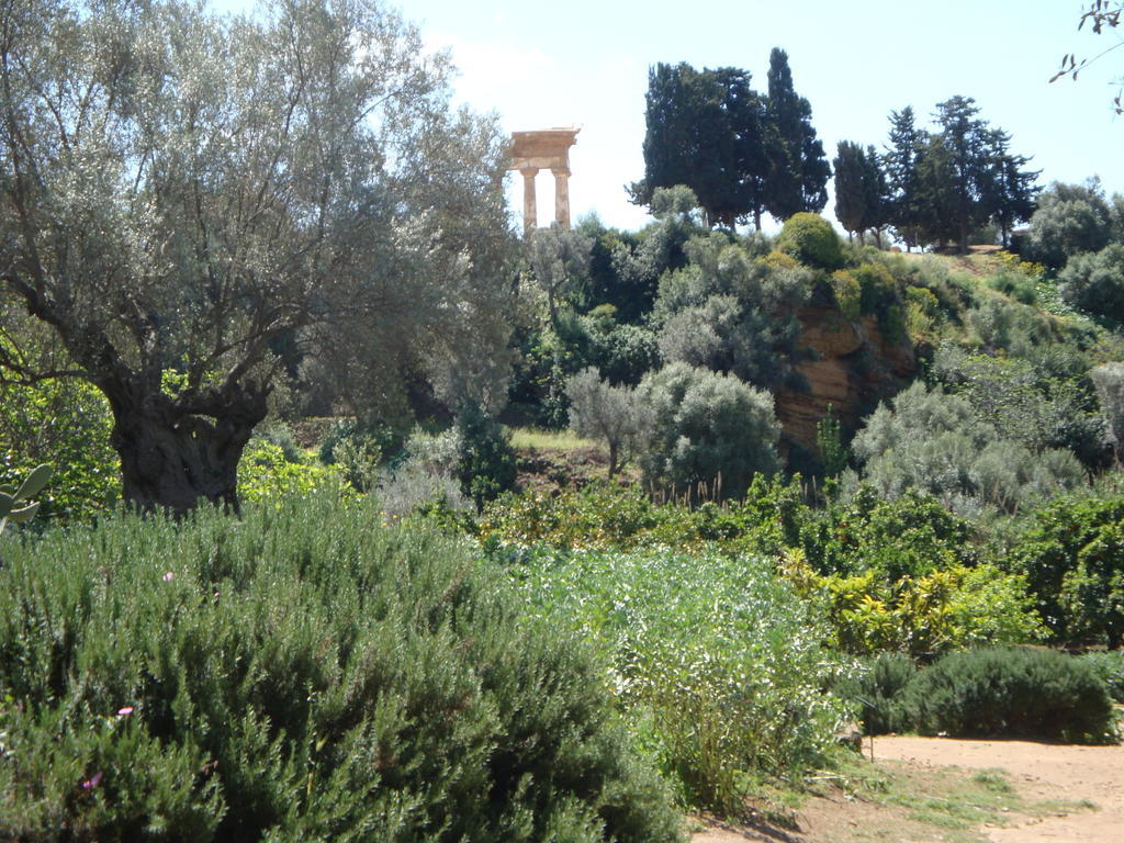 Guest House Artemide Agrigento Exterior foto